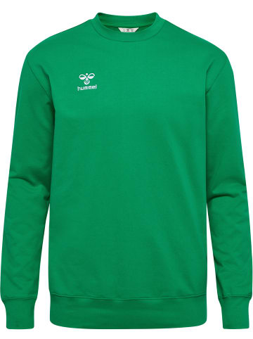 Hummel Hummel Sweatshirt Hmlgo Erwachsene in JELLY BEAN