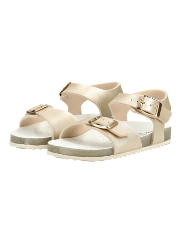 Geox Sandalen in Platinum