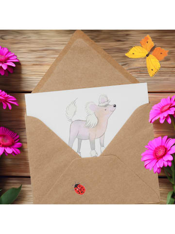 Mr. & Mrs. Panda Deluxe Karte Chinesischer Schopfhund Lebensrett... in Weiß