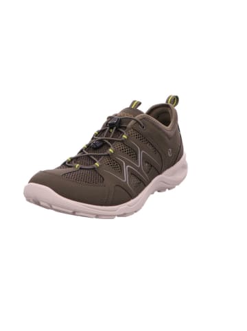 Ecco Sneaker in grau