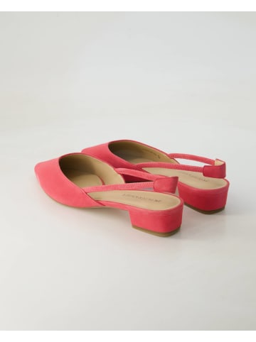 PETER KAISER Slingpumps in Pink
