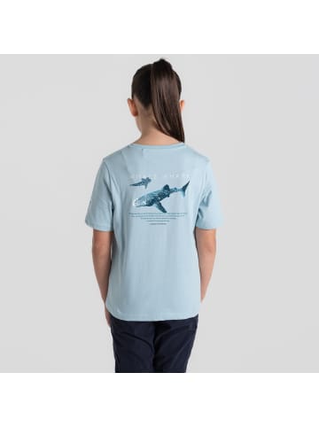 Craghoppers T-Shirt Ellis in Sky Blue