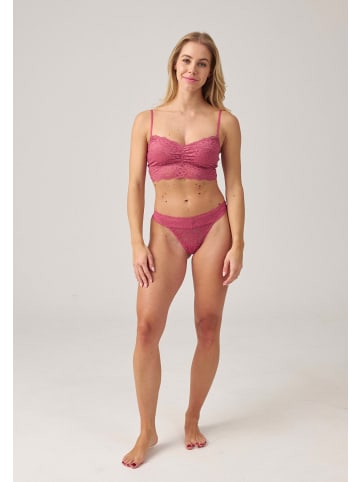 SNOCKS Tangas aus Spitze 3 Stück in Mauve