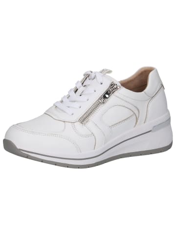 Caprice Sneaker in WHITE NAPPA