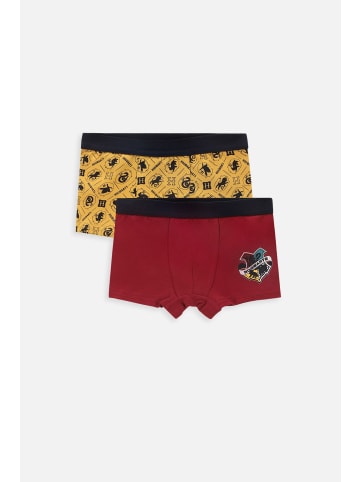 Coccodrillo Unterhose in bunt