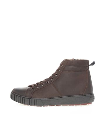 Pius Gabor Sneaker high in braun