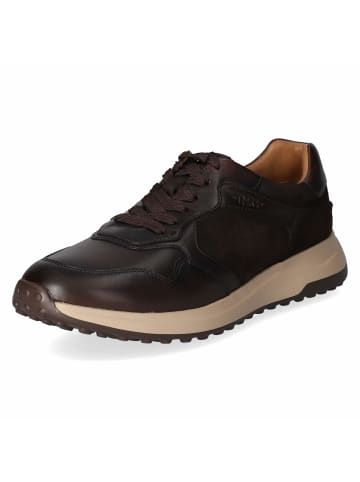 Tamaris Schnürhalbschuh in brown