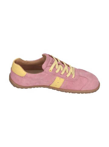 KOEL Sneaker Low ILA SUEDE 3.0 in rosa