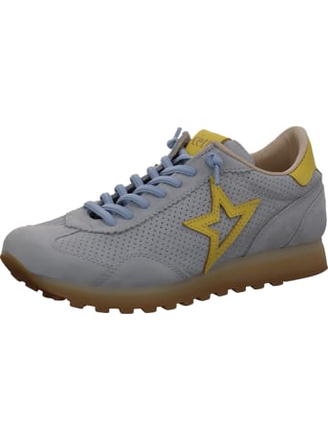 Cetti Schnürschuh in blau