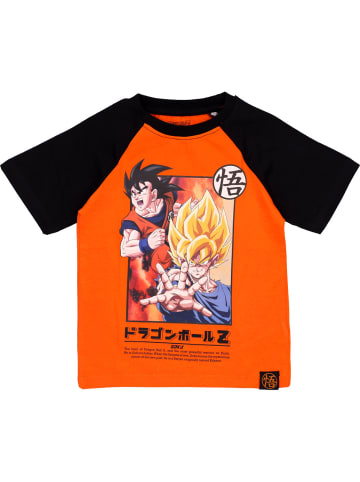Dragon Ball Sets Goku in multicolor