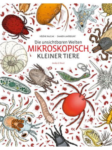 Jacoby & Stuart Buch - Die unsichtbaren Welten mikroskopisch kleiner Tiere