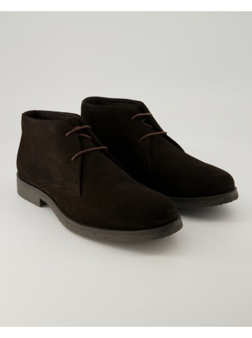 Geox Stiefeletten in Braun