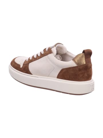 Paul Green Sneaker Low in beige