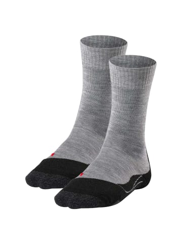 Falke Socken 2er Pack in Hellgrau