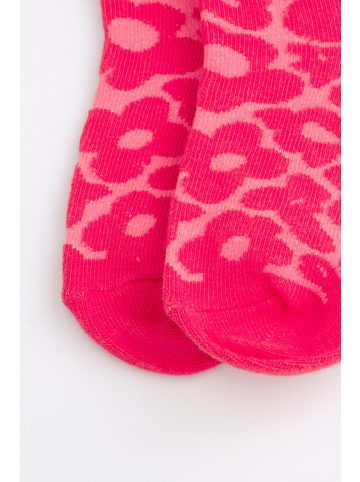 Coccodrillo Socken in bunt