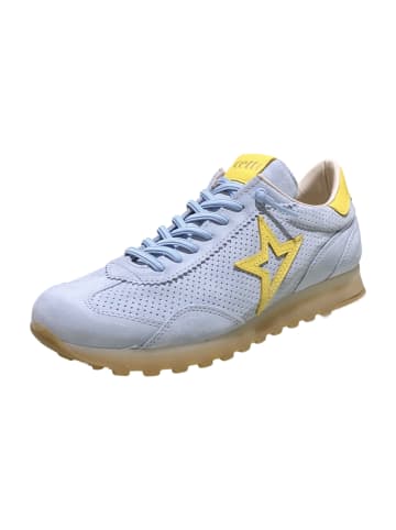 Cetti Sneaker Low in Blau