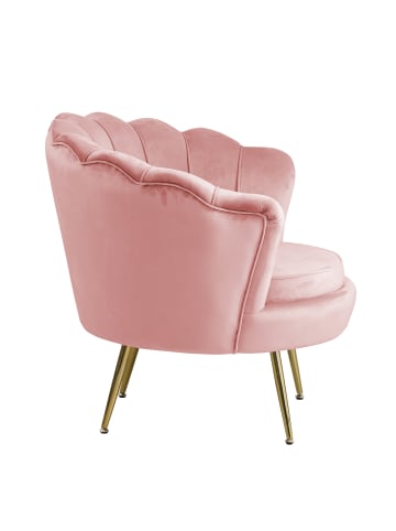 SalesFever Loungesessel im Muscheldesign Chromgestell in Goldoptik & Samtbezug in Rose