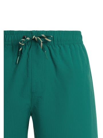 Protest " PRTAgden in Dark Teal