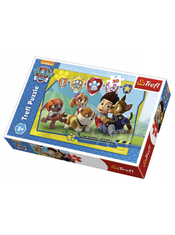 Paw Patrol Spielzeug Paw Patrol in bunt