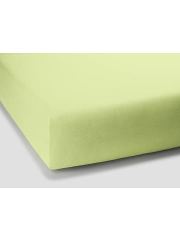 Formesse Spannbettlaken Bella Donna Jersey in Limette