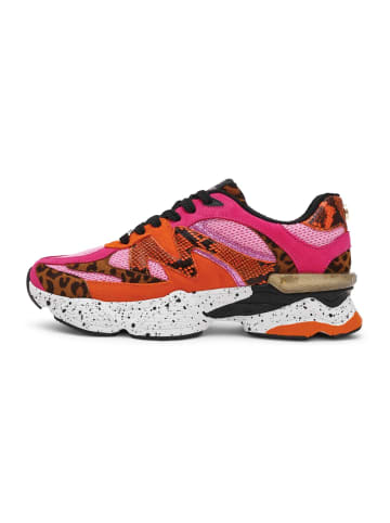 Steve Madden Sneaker in Pink