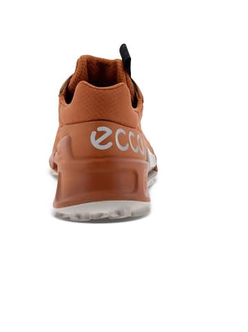 Marmot W BIOM 2.1 X COUNTRY I in Braun