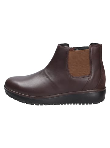 Joya Stiefelette LONDON II DARK BROWN in braun
