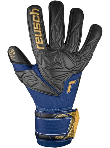 Reusch Torwarthandschuh Attrakt Gold X NC in 4411 premium blue/gold/black