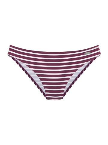 Venice Beach Badehose in bordeaux-weiß
