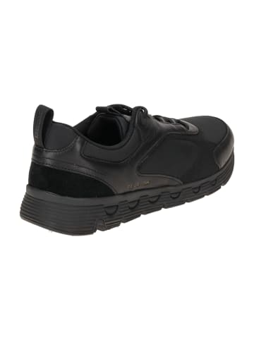 Geox Sportliche Schnürschuhe in Schwarz