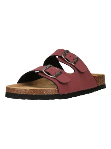 NOU Sandalen Whitehill V2 in 4109 Apple Butter