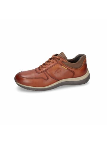 Camel Active Sneaker für Herren in uni