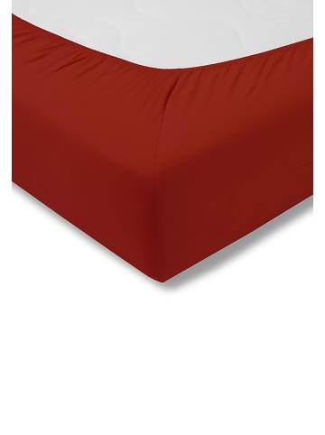 Estella Spannbetttuch Feinjersey in purpur