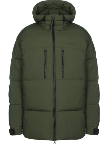 Didriksons Didriksons Winterjacken in green
