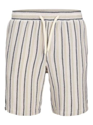 JACK & JONES PLUS Relaxed Fit Shorts in Celadon Tint