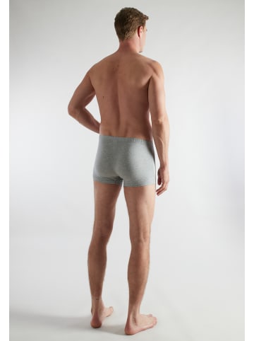 CECEBA Pants 3Er Pack Challenger in grau-dunkel-melange