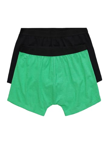 JP1880 Pants in maigrün