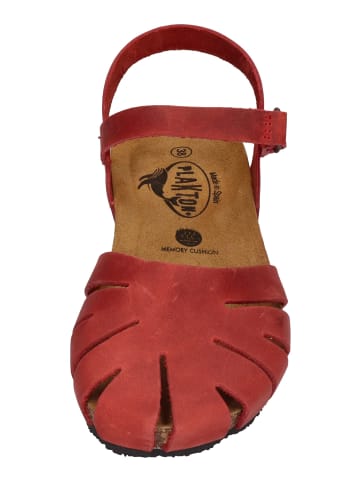 Plakton Sandalen 775929 in rot