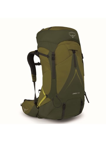 Osprey Atmos AG LT 65 L/XL - Trekkingrucksack 90 cm (scenic valley/green peppercorn) in scenic valley/green peppercorn