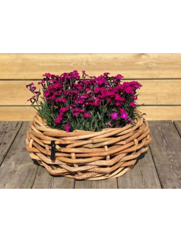 A2Living Rattan Korb Schale Rund 36x17