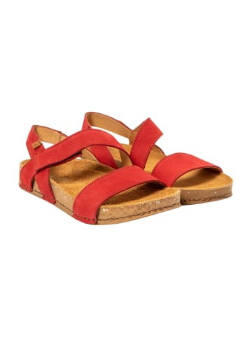 El Naturalista Sandalen rot