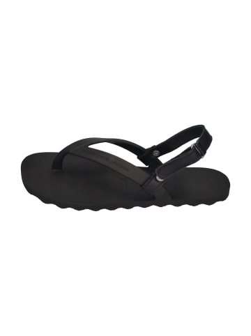 KOEL Sandalen WAVE  in schwarz