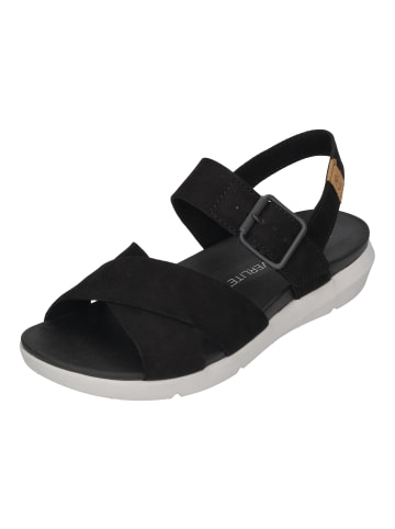 Timberland Sandalen WHILESPORT SANDAL in schwarz