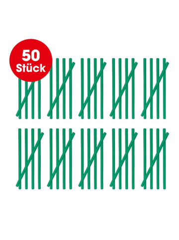 EASYmaxx Abflussreiniger-Stick Apfel 50er-Set grün grün