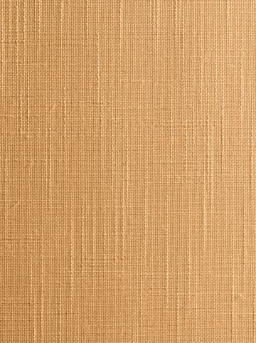 Heine Schiebevorhang in curry