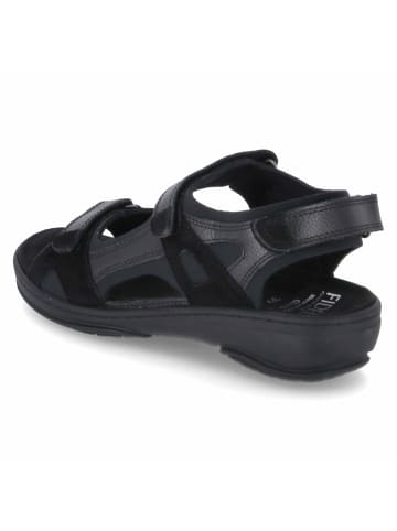 Fidelio Sandalen in Schwarz