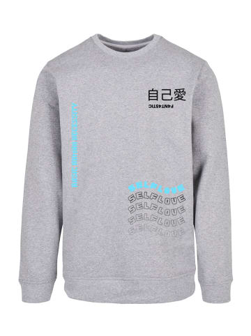 F4NT4STIC Sweatshirt Self Love CREWNECK in grau meliert