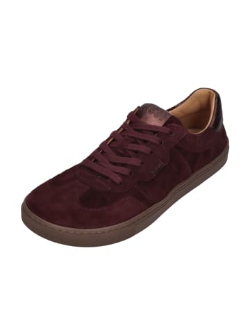 KOEL Sneaker Low HELENA SUEDE  in rot