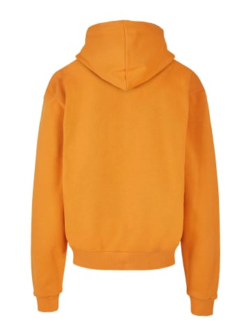 Absolute Cult Absolute Cult Kapuzenpullover in forgottenorange