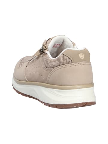 Joya Schnürschuh DYNAMO ZIP W BEIGE II in beige